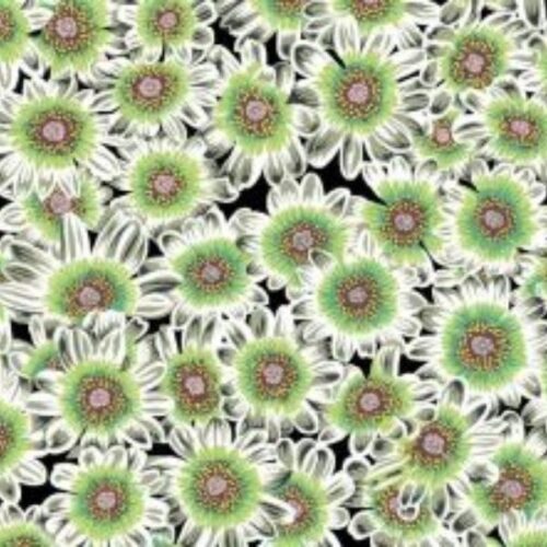 Kaffe Fassett Collective PWPJ112-White