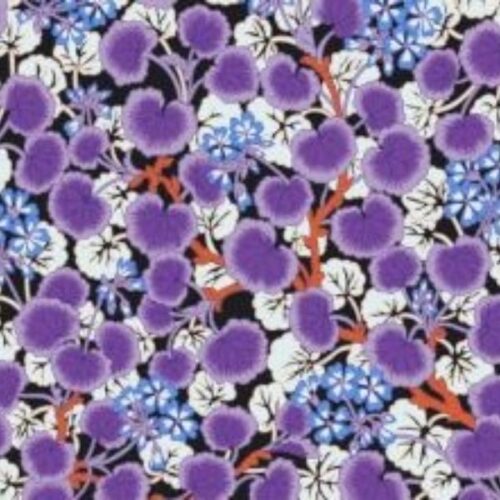 Extra Wide: Spring 2023