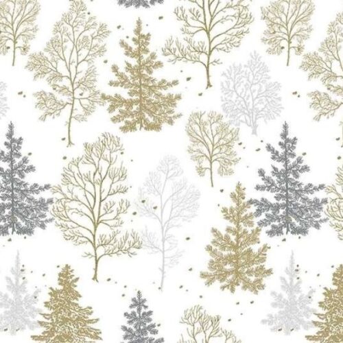 Frosted Forest 20090-121