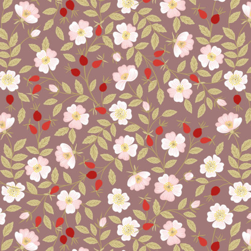 A693.3 Dog Rose on soft b