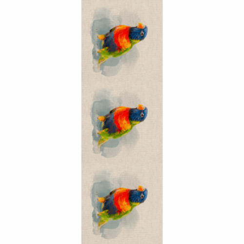 DCP024 Rainbow Parrot Panels