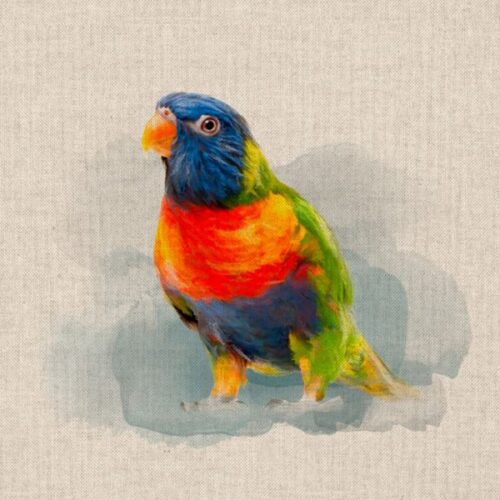 DCP024 Rainbow Parrot Panel