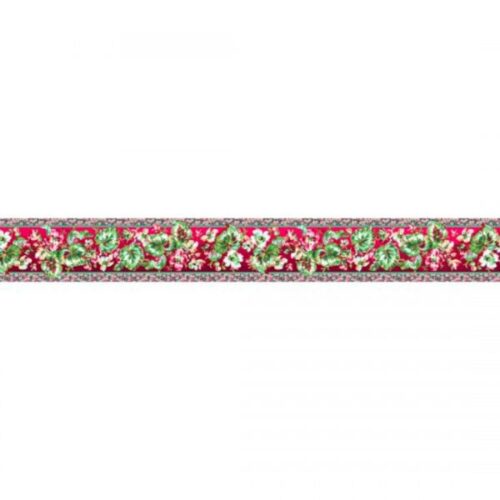 Philip Jacobs Begonia Red