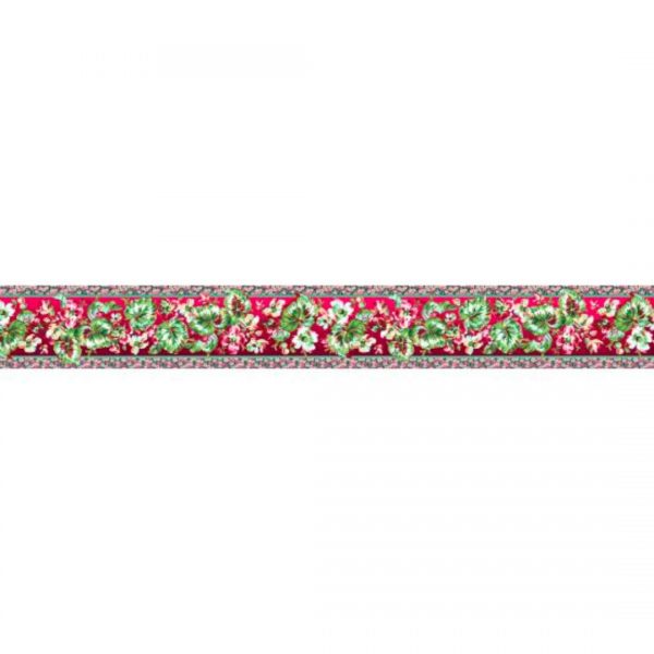 Philip Jacobs Begonia Red