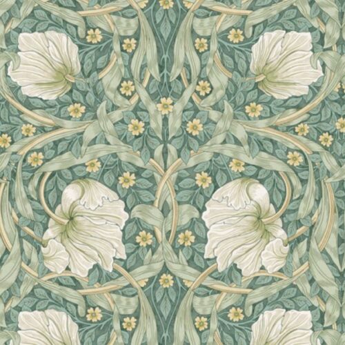 PWWM079.OLIVE Small Pimpernel