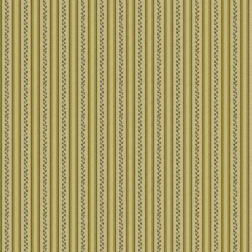 187.V Morning Ray in Fern