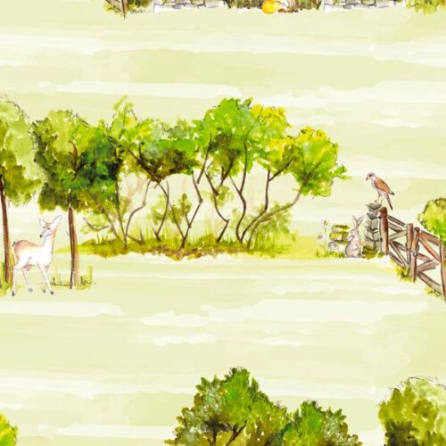 2967-08 Rambling A Country Walk Debbie Shore