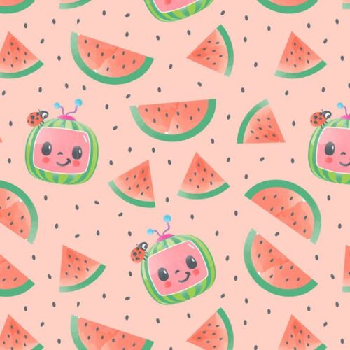 2970-04 Watermelon Logo Cocomelon