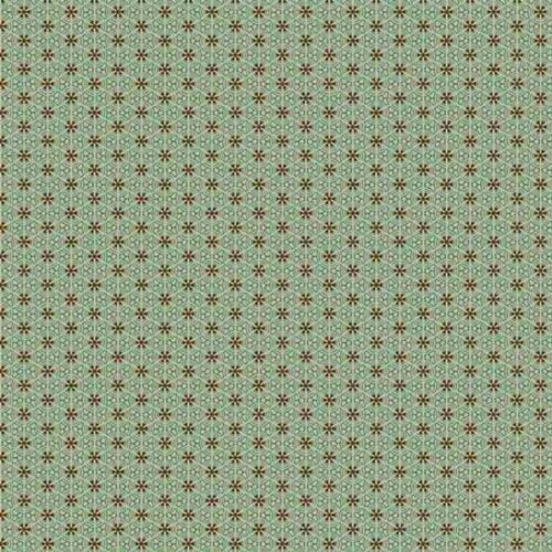 528.TN Starflower in Atlantic Primrose