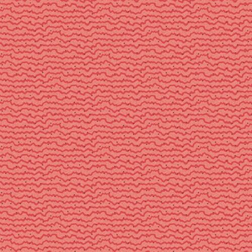 529.R Stripe Amaryllis in Rosy