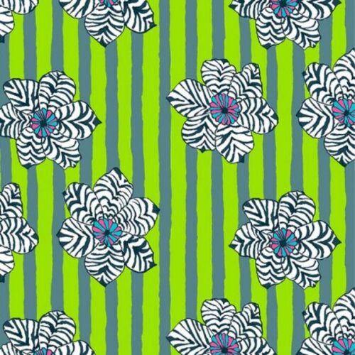 PWBM091.Green Zebra Lily