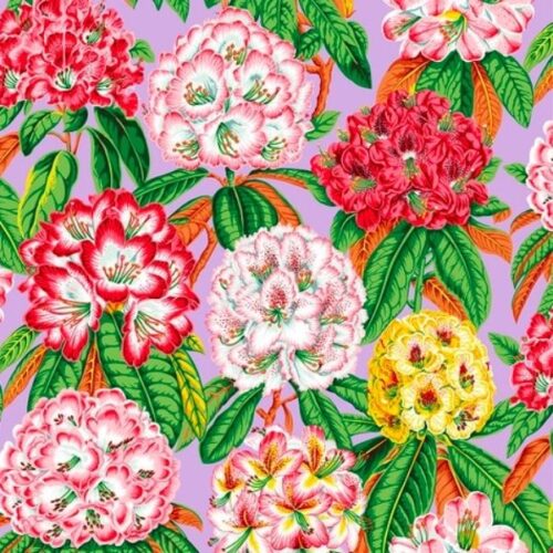 PWPJ124.Lavender Rhododendrons