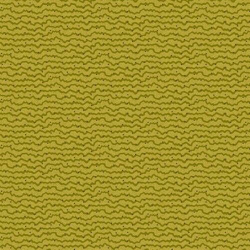 529.V Stripe Amaryllis in Cymbidium