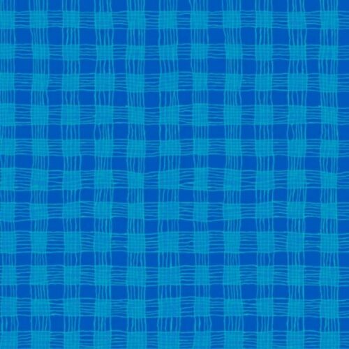 PWBM089.Blue Gingham