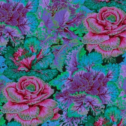 PWPJ120.Dark Curly Kale