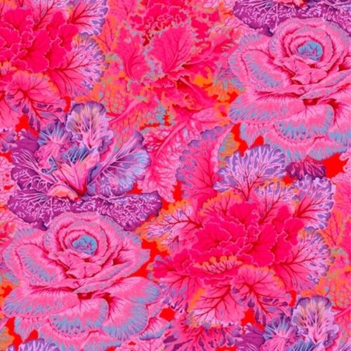 PWPJ120.Red Curly Kale