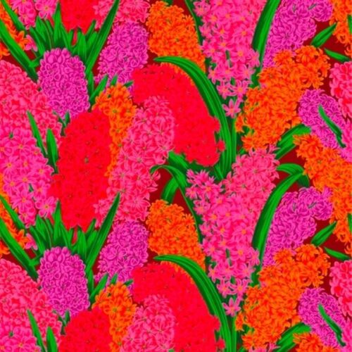 PWPJ123.Red Hyacinthus