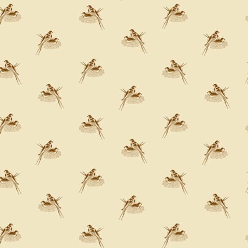 2691 N Nesting Birds in Walnut