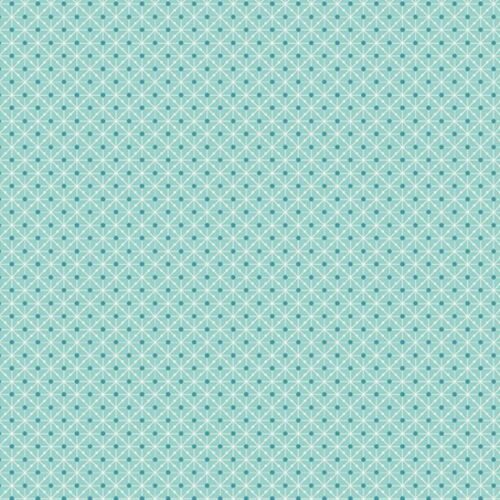 29981 T Matrix in Nonno