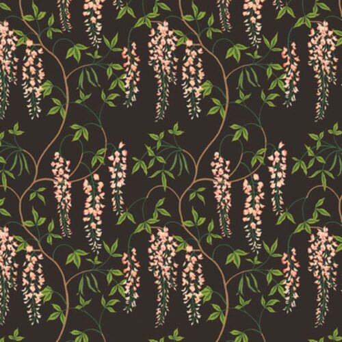 PWSA044.Black Laburnum Falls