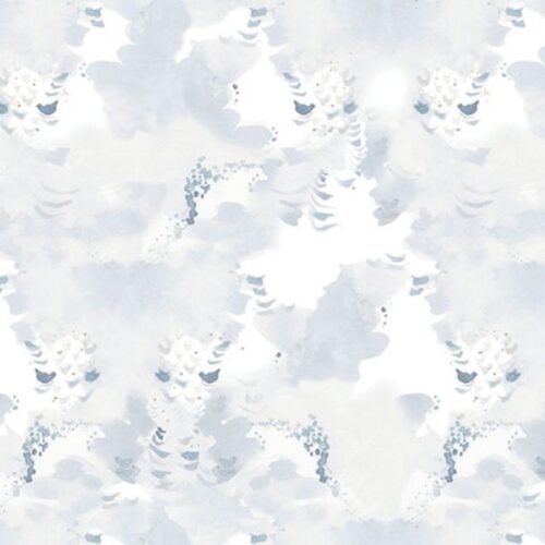 PWSR071.Grey Cloud Cover