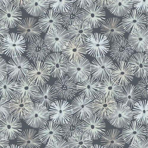 PWSR080.Storm Grey Urchins