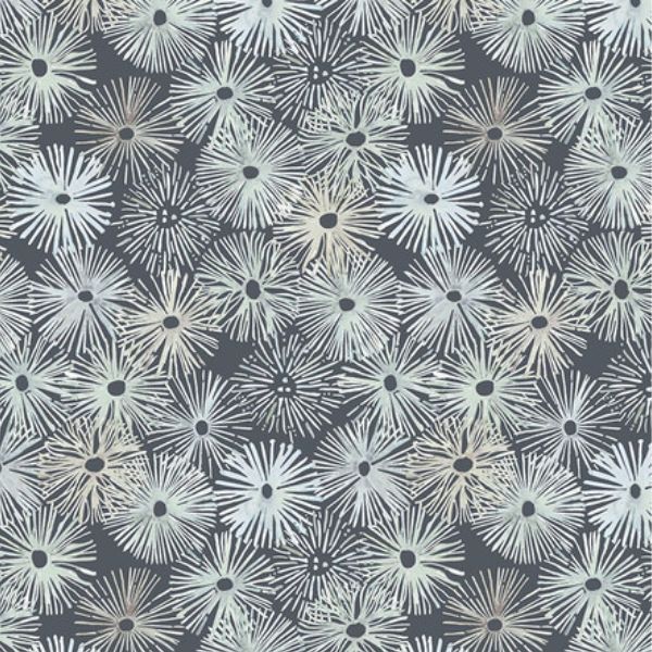 PWSR080.Storm Grey Urchins