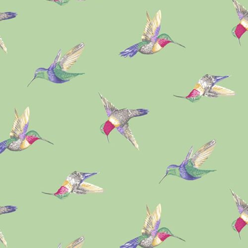 A697 G Hummingbirds in Green