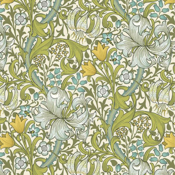 PWWM028.Sunshine Golden Lily