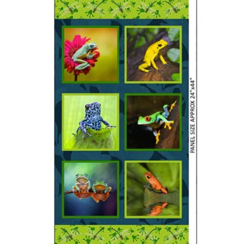 2017A Frogs Block Panel Fab Frogs
