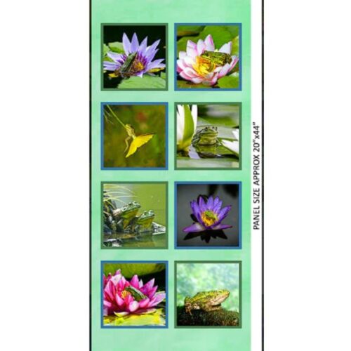 2017B Frogs Grid Panel