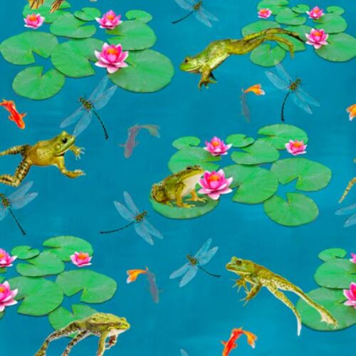 2017D Frogs Pond Aqua Fab Frogs