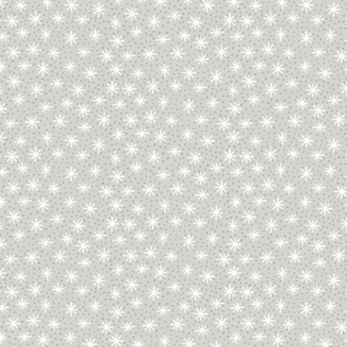 2588 C Star Dot on Grey
