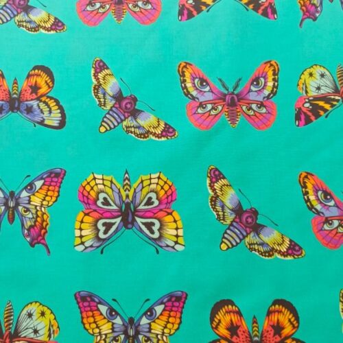 PWTP171.Lagoon Butterfly Hugs Daydreamer