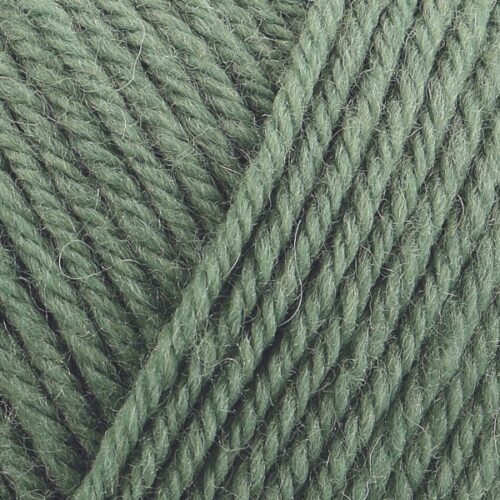 Pure Wool Superwash Worsted 199 Sage 100g (2)