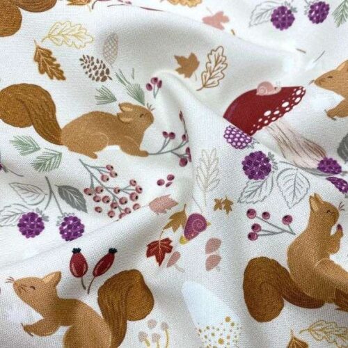 CC21.1 A Squirrel's Tale Cream Squirrelled Away Cassandra Connolly (2)