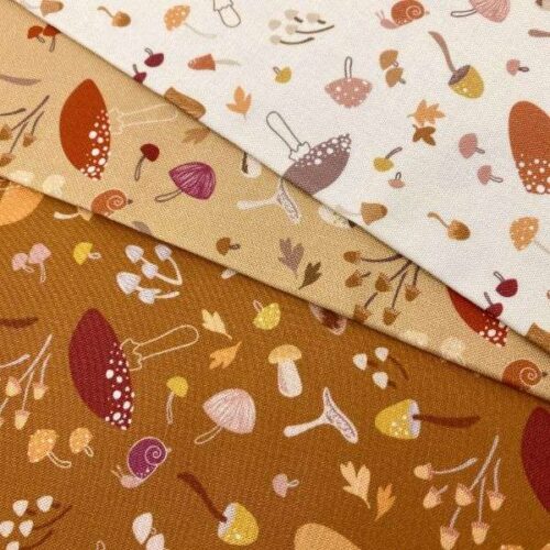 CC25.1 Mushroom Medley Cream