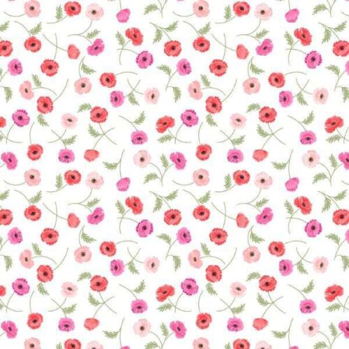 P764.1 Scattered Poppies on White